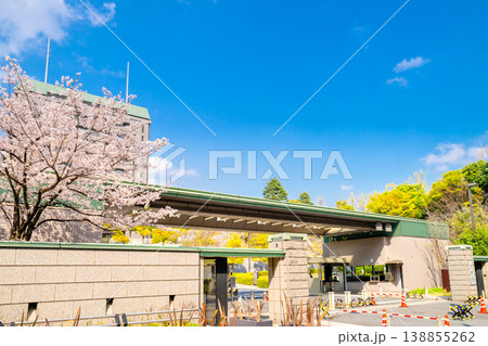防衛省 満開の桜 防衛省 満開の桜 138855262