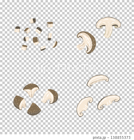 Illustrations of shiitake mushrooms cut in various ways 138855373