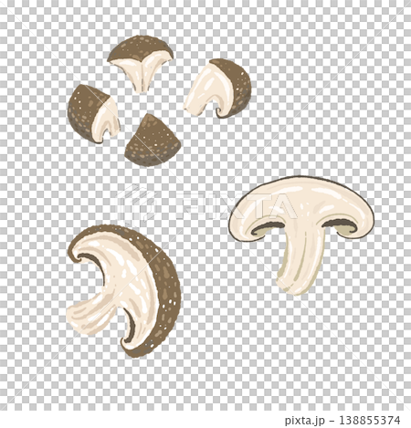 Illustration of sliced shiitake mushrooms arranged 138855374