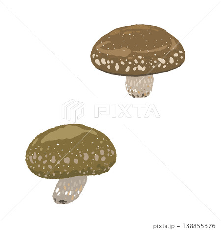 2つの椎茸(斜め)のイラスト 2つの椎茸(斜め)のイラスト 138855376