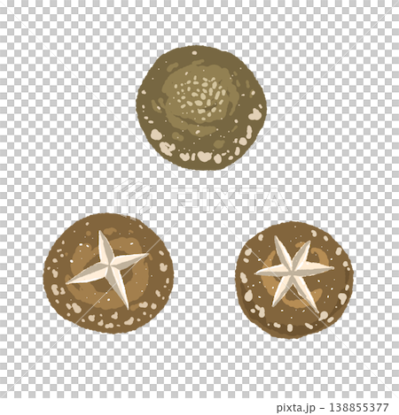 2つの飾り切り椎茸のイラスト 138855377