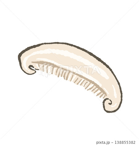 スライス椎茸（単体・まっすぐ） 138855382