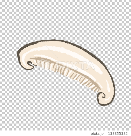 スライス椎茸（単体・まっすぐ） 138855382