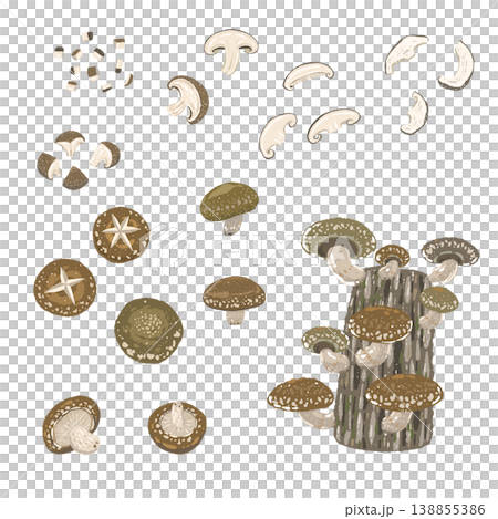 香菇組合裝（菌絲、菌片、裝飾切塊） 138855386