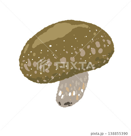 椎茸(丸ごと・斜め別角度)のイラスト 椎茸(丸ごと・斜め別角度)のイラスト 138855390