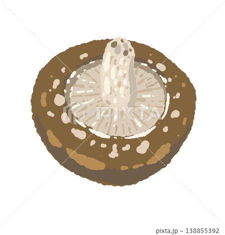椎茸（裏側・真上）のイラスト 138855392