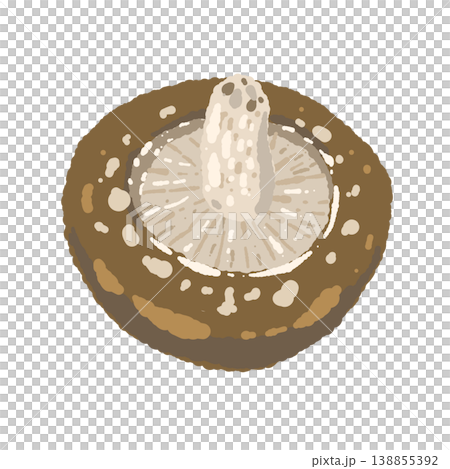 椎茸（裏側・真上）のイラスト 138855392