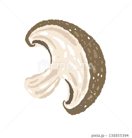 半分にカットされた椎茸（斜め）のイラスト 138855394