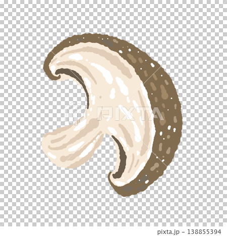 半分にカットされた椎茸（斜め）のイラスト 138855394