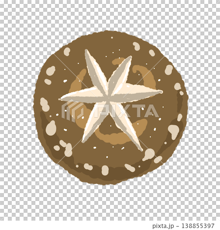 Illustration of decorative-cut shiitake mushrooms (star-shaped, top view) 138855397