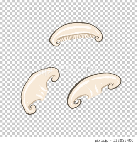 Illustration of a set of sliced shiitake mushrooms Illustration of a set of sliced shiitake mushrooms 138855400