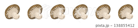 スライス椎茸のライン装飾・飾り罫 138855412