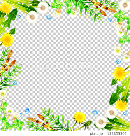 Spring flowers and plants frame - hand-drawn watercolor illustration material Spring flowers and plants frame - hand-drawn watercolor illustration material 138855505
