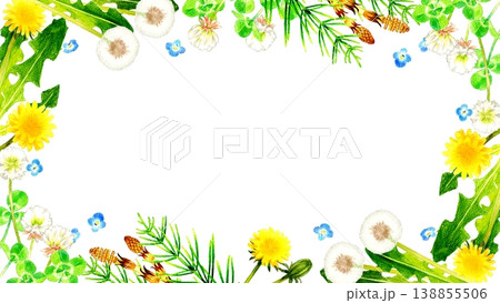 春の草花・植物のフレーム　手描き水彩イラスト素材 138855506