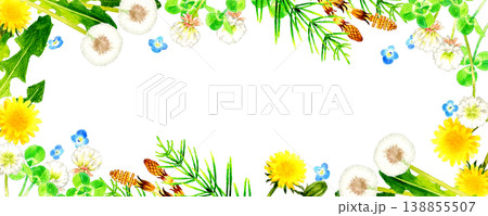 春の草花・植物のフレーム　手描き水彩イラスト素材 138855507