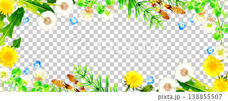春の草花・植物のフレーム　手描き水彩イラスト素材 138855507