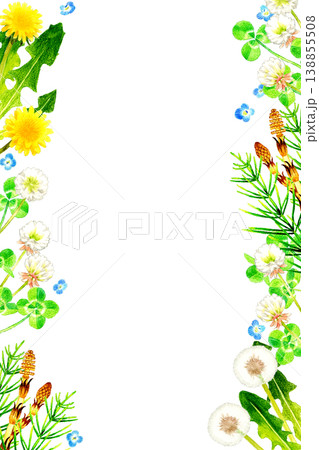 春の草花・植物のフレーム　手描き水彩イラスト素材 138855508