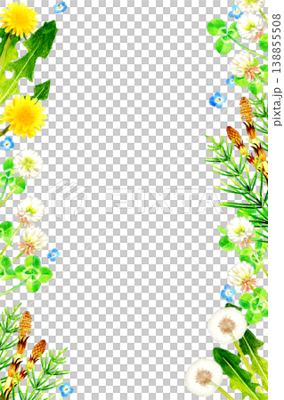 Spring flowers and plants frame - hand-drawn watercolor illustration material 138855508