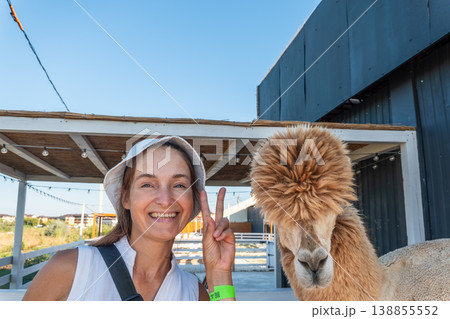 Moment of interaction between a human and an alpaca Moment of interaction between a human and an alpaca 138855552