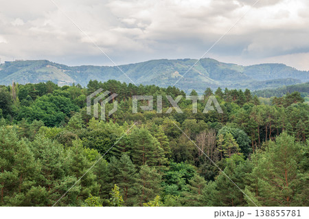 Summer Mountains Landscape with Green forest. Summer Mountains Landscape with Green forest. 138855781