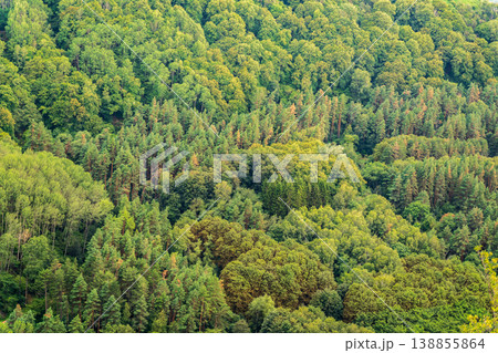 Summer Mountains Landscape with Green forest. 138855864