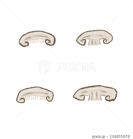 半分にカットしたシイタケのセット 138855878