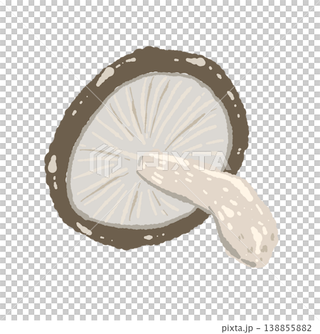 Illustration of a shiitake mushroom (underside, at an angle) 138855882