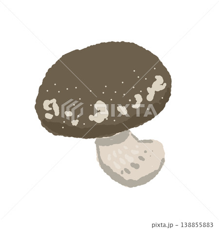 シイタケ（丸ごと・斜め上）のイラスト 138855883