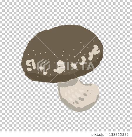 シイタケ（丸ごと・斜め上）のイラスト 138855883
