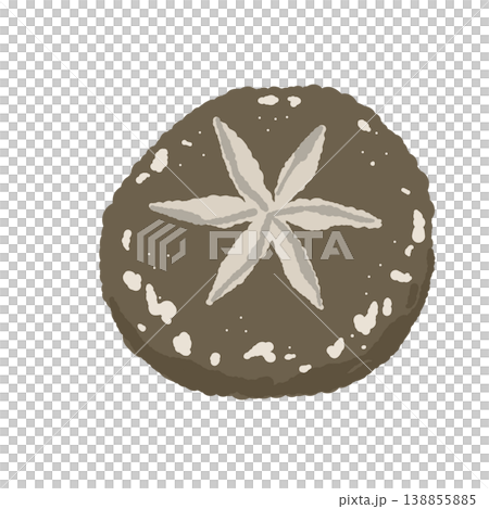 Illustration of decoratively cut shiitake mushrooms (top view) 138855885