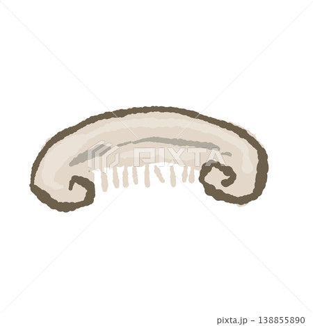 半分にカットしたシイタケ（バリエーション2） 138855890