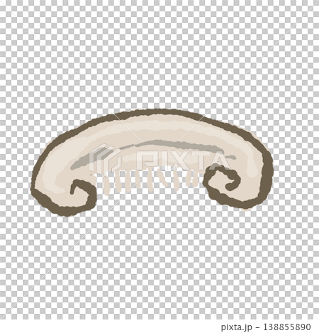 半分にカットしたシイタケ（バリエーション2） 138855890