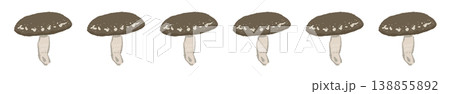 シイタケのライン装飾・飾り罫 138855892