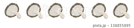 シイタケのライン装飾・飾り罫（真上） 138855895