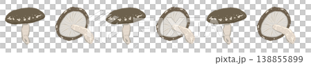 Shiitake mushroom line decoration/decorative border (mixed) 138855899
