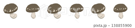 シイタケのライン装飾・飾り罫（ミックス） 138855900