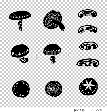 香菇變體圖集（單色） 138855910