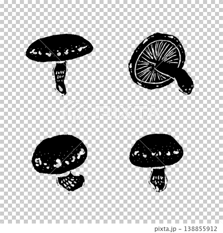 整株香菇（多角度，單色） 138855912