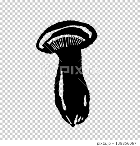 Illustration of an eringi mushroom (whole, diagonally, monochrome) Illustration of an eringi mushroom (whole, diagonally, monochrome) 138856067