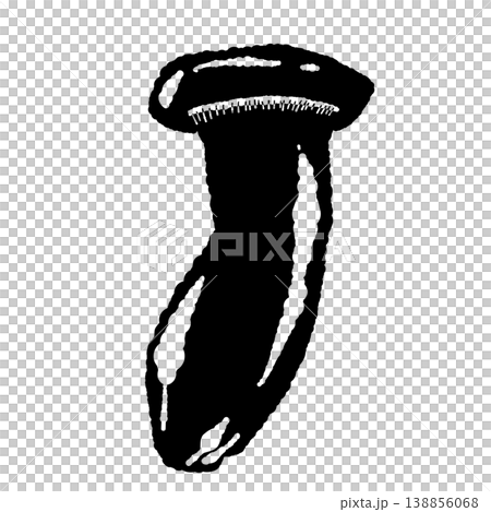 Illustration of a whole king oyster mushroom (front view, monochrome) Illustration of a whole king oyster mushroom (front view, monochrome) 138856068