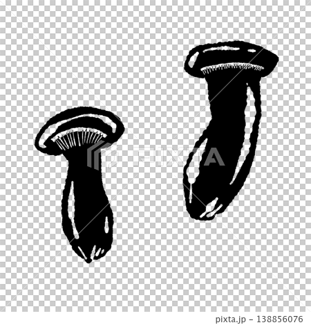 兩朵杏鮑菇的插圖（完整、分離、單色）。 138856076