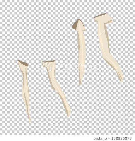 A set of hand-torn king oyster mushrooms A set of hand-torn king oyster mushrooms 138856079