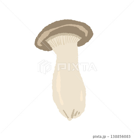 エリンギ（丸ごと・斜め）のイラスト 138856083