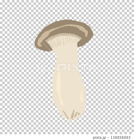 エリンギ（丸ごと・斜め）のイラスト 138856083