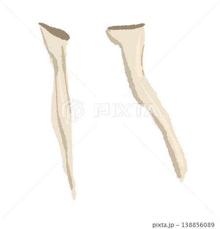 2本の手で割いたエリンギのイラスト 138856089