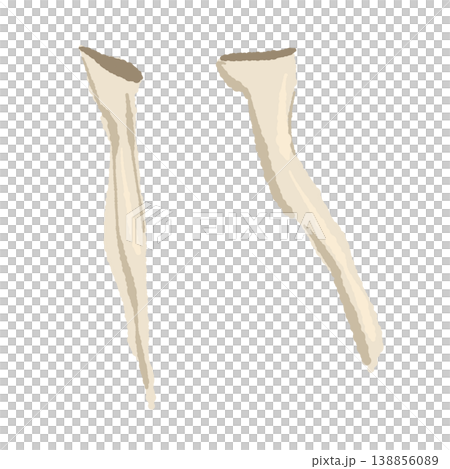 2本の手で割いたエリンギのイラスト 138856089