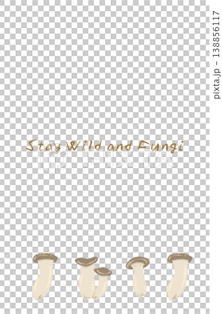 豎版菜單/卡片模板，以多朵杏鮑菇為特色。 138856117