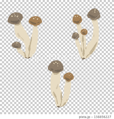 Set of individually packaged shimeji mushrooms (variations) Set of individually packaged shimeji mushrooms (variations) 138856227