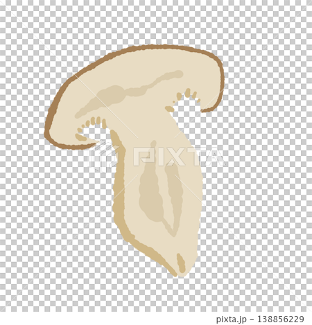 Shimeji mushroom cut in half (cross-section) 138856229