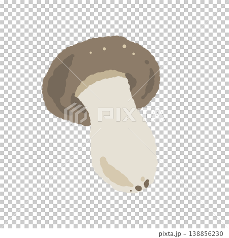 Hon-shimeji mushrooms (single, diagonal) 138856230
